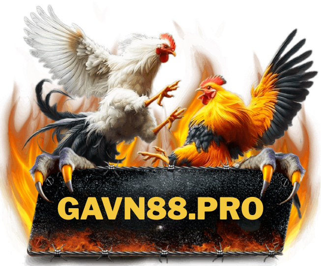 gavn88.pro